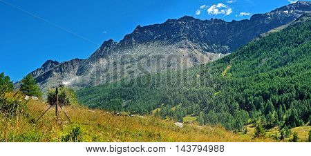 Agricultural artificial irrigation of hay meadow in alps mountain
