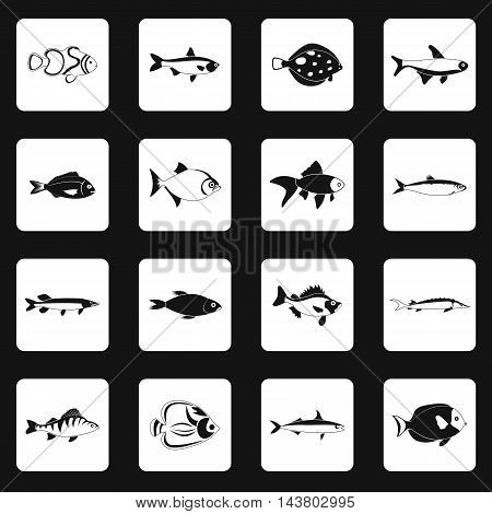 Fish icons set in simple style. Sea fish set collection vector illustration