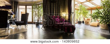 Velour Purple Armchair