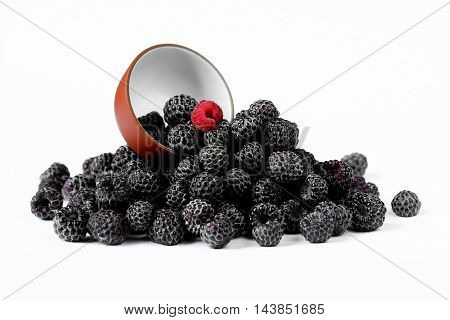 Not like everything. Fresh black raspberries Cumberland isolated on white