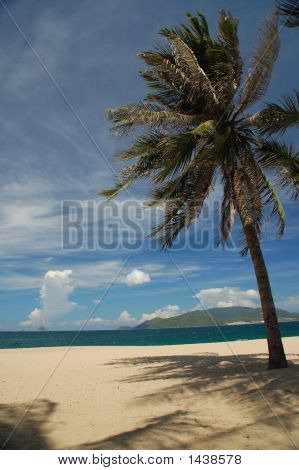 Palm Beach