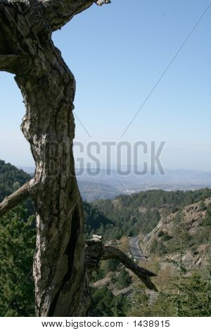 Mountain Valley, Cypern