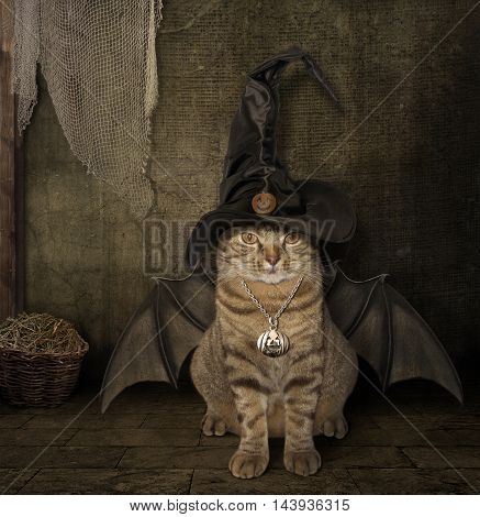 A cat has a wings. It looks like a bat.