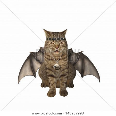A vampire cat has wings on the white background.. It looks like a bat.