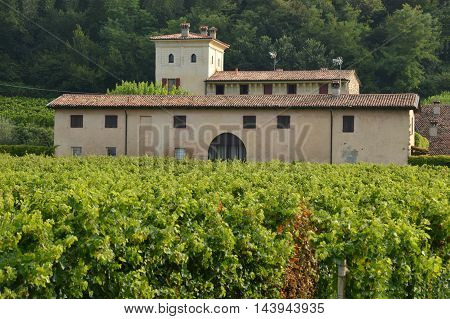 Ancient farm estate with its vineyards in the countryside of Brescia - Italy