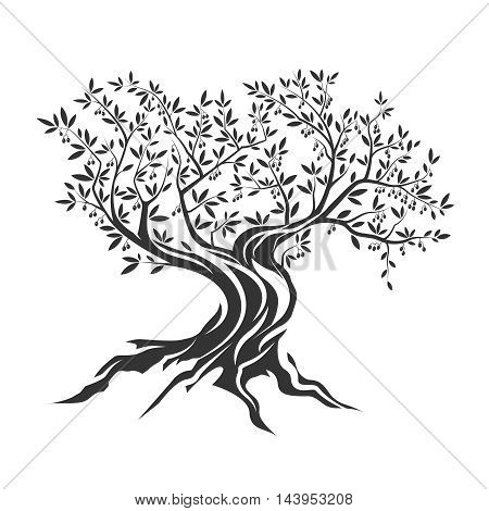 Olive tree silhouette icon isolated on white background.