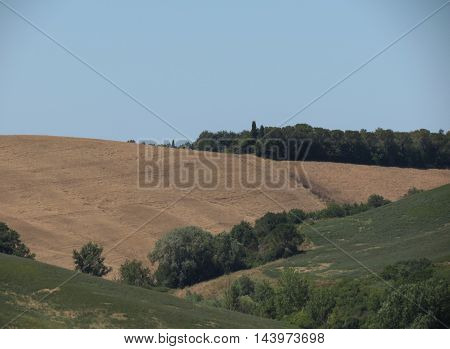Chiantishire Hills Landscape