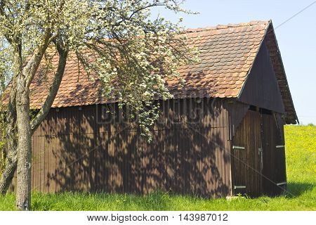 Picture of a idyllic Woodshed in Springtime