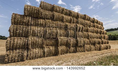 hai bales pile in a field blue sky background closeup