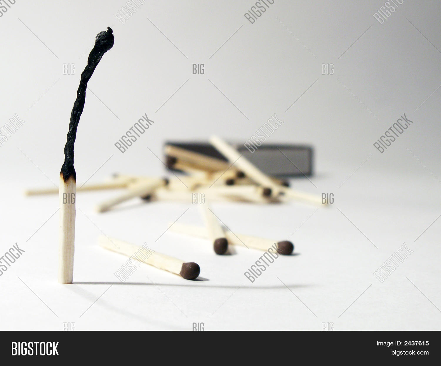 Burnt Match Matches Image & Photo (Free Trial) Bigstock