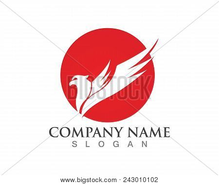 Falcon Eagle Bird Logo Template Vector Icon