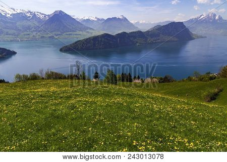 Landscape View Of Lucern Lake , Apls Mountain With Grass Flower In Spring Season
