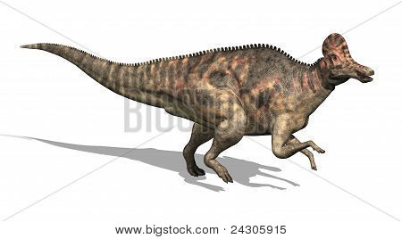 Corythosaurus dinosauro