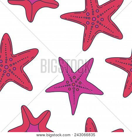 Summer Vector Seamless Pattern With Starfish, Asteroid, Five-finger