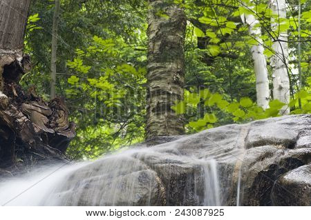 Water Sheeting Off Rocks With Birches In Background