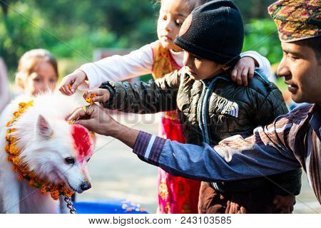 KATHMANDU, NEPAL - OCTOBER 29, 2016: Nepal police celebrates Kukur Tihar (dog festival) at Central Police Dog Training School.