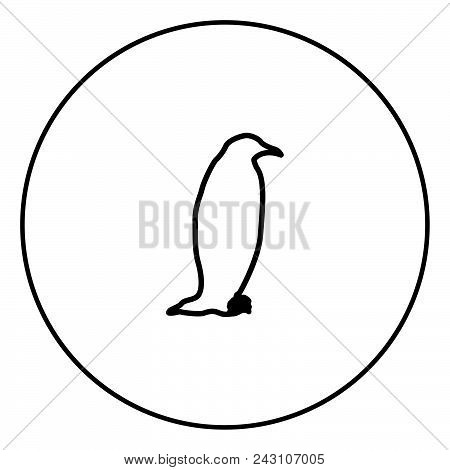 Penguin Icon In Circle Outline Vector Illustration Image
