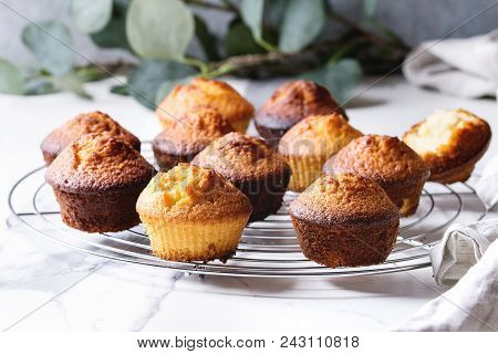 Fresh Baked Homemade Lemon Cakes Muffins Standing On Cooling Rack With Eucalyptus Branch Over White 