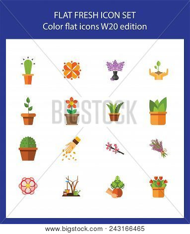 Nineteen House Plant Flat Vector Icons Collection On White Background. Can Be Used For Topics Like F