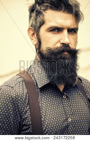 Elegant Man In Suit. Closeup View Of One Handsome Senior Stylish Man With Black Hair And Long Lush B