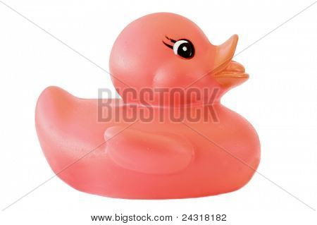 Canard en plastique un sur fond blanc
