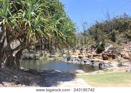 Freshwater Rock Pool by the Sea, Angourie Fresh water rock pool,  Angourie New South Wales, Australia