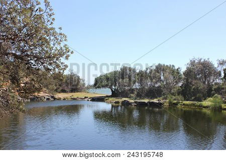 Freshwater Rock Pool by the Sea, Angourie Fresh water rock pool,  Angourie New South Wales, Australia