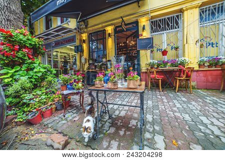 Istanbul, Turkey: Beautiful Decoration Of Street Cafe In Kuzguncuk District With Flowers And Plants 