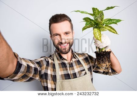 Self Portrait Of Cheerful Joyful Florist With Stubble Shooting Selfie On Front Camera During Break, 