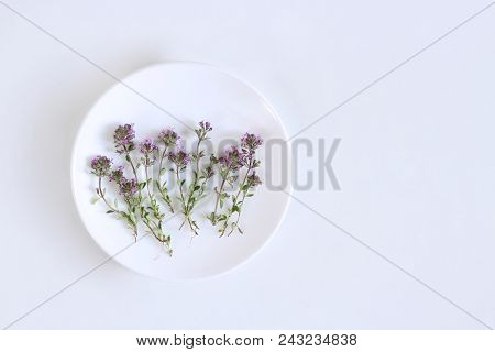 Purple Little Thymus Pulegioides Common Names Lemon Thyme On A White Plate.thymus Pulegioides Is A S