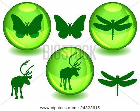 Bio eller Eco kugler