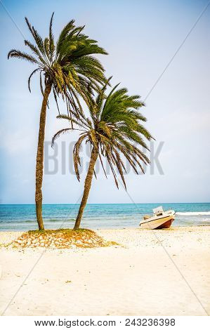 Card From Tropical Vacations - Palm Trees On White Sand Beach And Powerboat