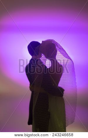 Wedding Couple Marriage Dolls