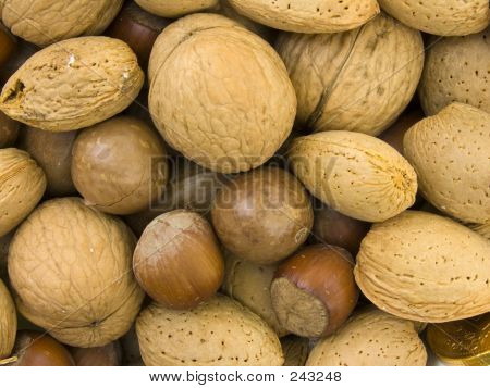 다양 한 견과류