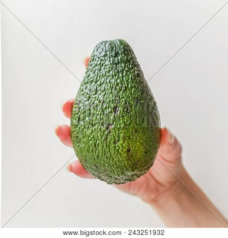 Ripe Avocado In Hand. White Bakcground. Side View