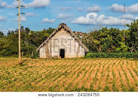 Vinales, Cuba. January 2018. A View Of A Farmhouse In The Landscape In Vinales, Cuba.