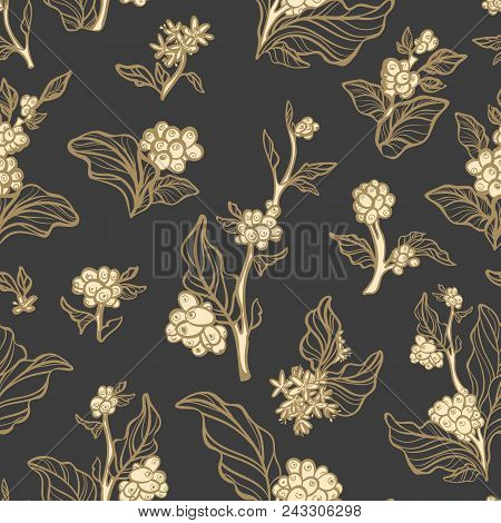 Trendy Vector Seamless Pattern Of Coffee Tree, Branch With Bean, Grain Botanical Art Line Drawing De