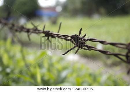 Alte Stacheldraht In ThaiLand