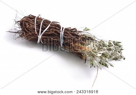Dried Medicinal Herbs Raw Materials Isolated On White. Potentilla Alba.