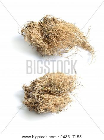 Dried Medicinal Herbs Raw Materials Isolated On White. Root Of Polemonium Caeruleum
