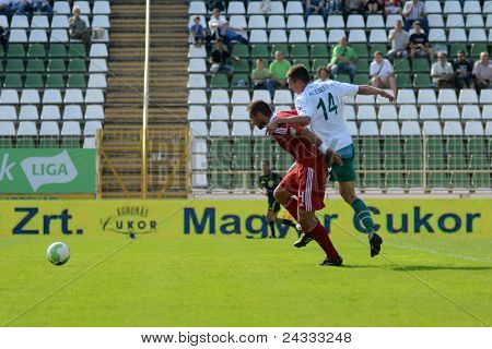 KAPOSVAR, Ungheria - 24 settembre: Serghei Alexeev (in bianco) in azione presso un campione nazionale ungherese