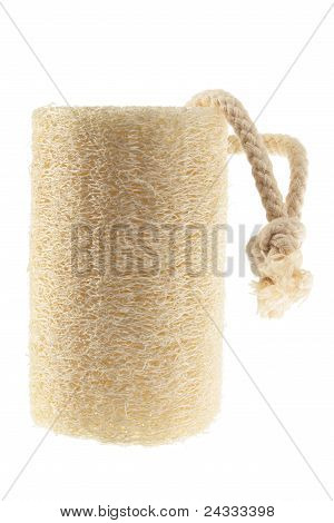Luffa