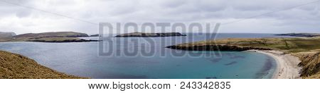 Seals In A Bay Of Shetland Islands Next To Lerwick In Scotland