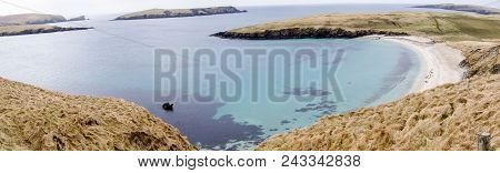 Seals In A Bay Of Shetland Islands Next To Lerwick In Scotland