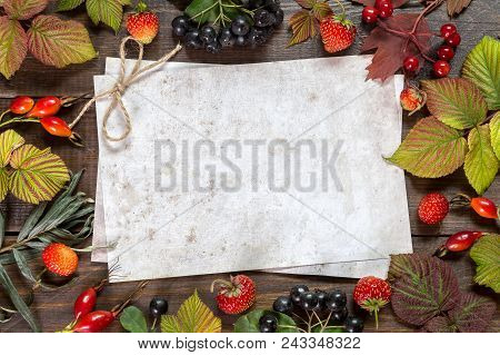 Autumn Leaves On The Wooden Background. Copy Paste.