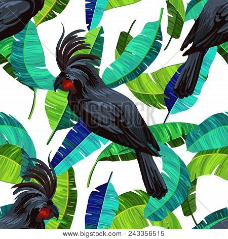 Vector Seamless Pattern With Cockatoos And Falling Banana Leaves. Colorful Illustration In Realistic