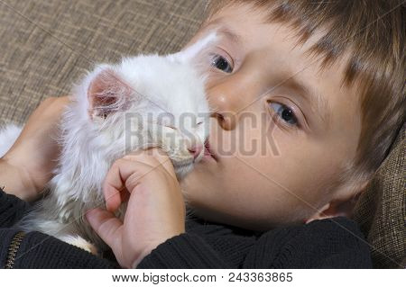 A Young And Cheerful Little Boy Is Playing With A White Cat On The Couch
