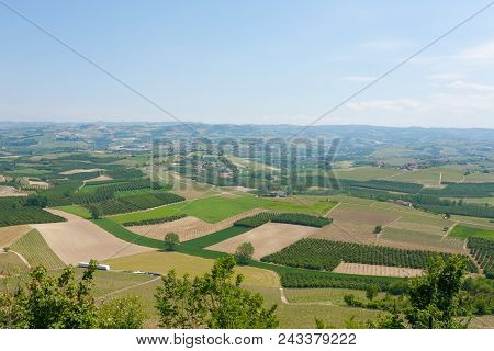 Beautiful Italian Landscape. Vineyards From Langhe Region,italy Agriculture. Unesco World Heritage S