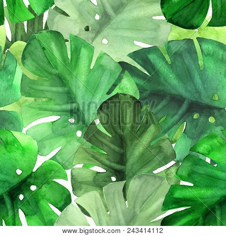 Seamless Green Tropical Pattern 1. Monstera. Watercolor Illustration