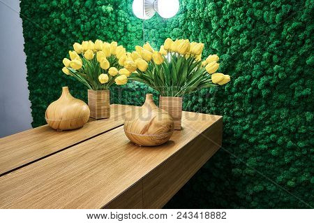 Green Moss And Yellow Tulips In The Interior